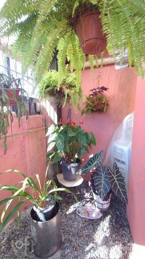 Image 4 - 654674