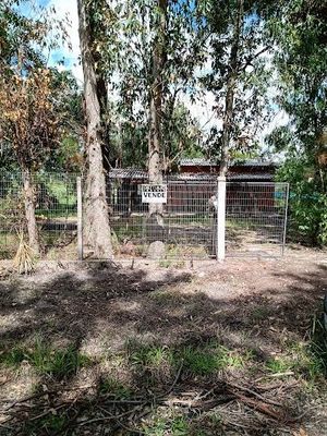 Image 4 - 654900
