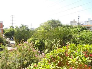 Image 7 - 654962