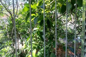 Image 11 - 655767