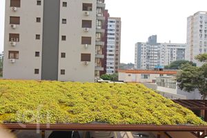 Image 19 - 655972