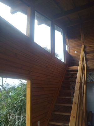 Image 10 - 656494