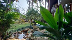 Image 14 - 688615