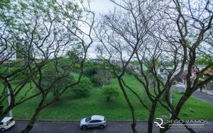 Image 4 - 6893