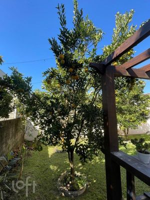 Image 36 - 695365