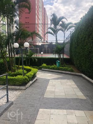 Image 16 - 699086