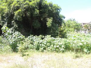 Image 15 - 701227
