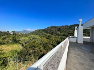Image 31 - 701516