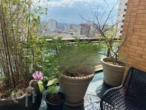 Image 11 - 703761