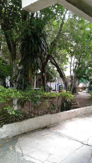 Image 27 - 704832