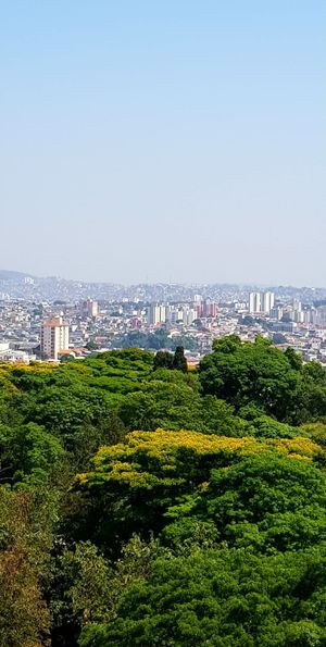 Image 46 - 717341