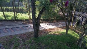 Image 16 - 717439