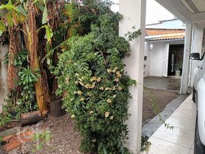 Image 3 - 718439