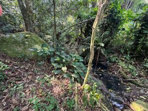 Image 17 - 727444