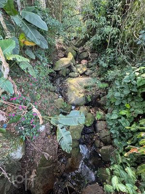 Image 15 - 727444