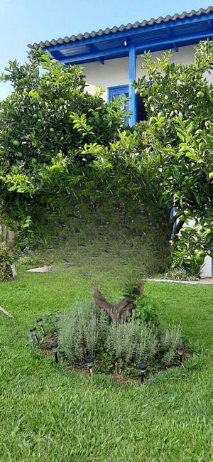 Image 18 - 729873