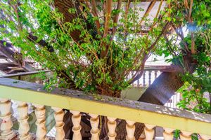Image 67 - 729895