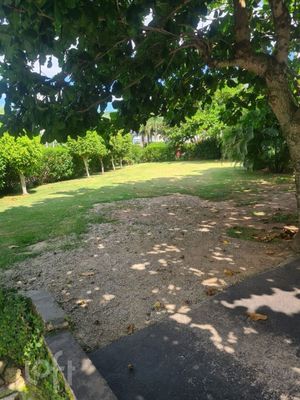Image 2 - 730524