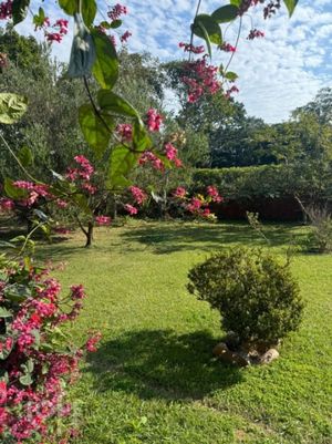 Image 13 - 732034