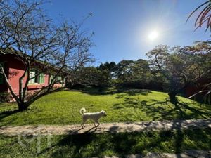 Image 41 - 732034