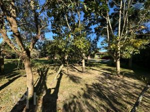 Image 43 - 732034