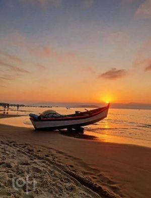 Image 9 - 732332