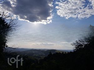Image 15 - 732611