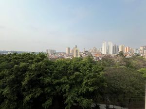Image 3 - 733006