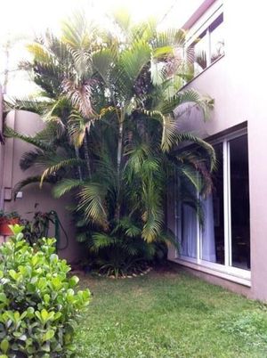 Image 13 - 733210