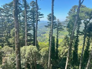 Image 18 - 733510