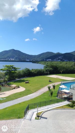 Image 11 - 735138