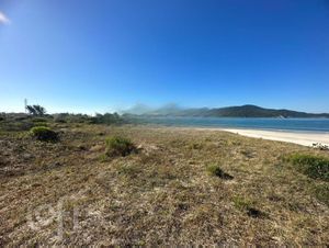 Image 8 - 735202