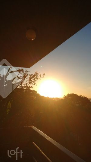 Image 9 - 736804