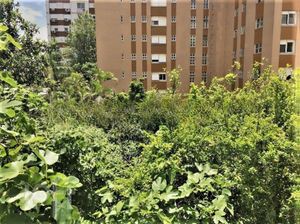 Image 15 - 737129