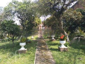 Image 65 - 737137