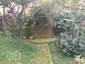 Image 62 - 737137