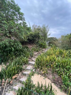 Image 63 - 737238