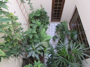 Image 5 - 737304