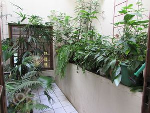 Image 19 - 737304