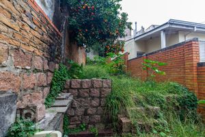 Image 40 - 737355