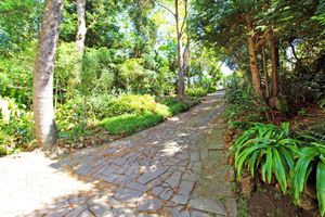 Image 36 - 737392