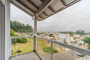 Image 33 - 737519