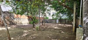Image 5 - 745313