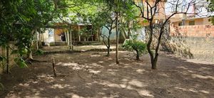 Image 13 - 745313