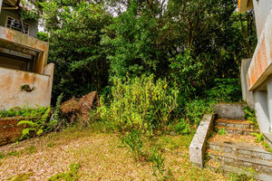 Image 11 - 745961