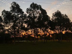Image 27 - 746889