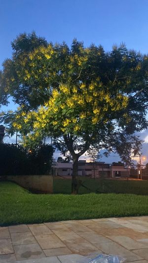 Image 18 - 746889