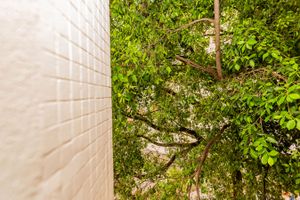 Image 31 - 747839