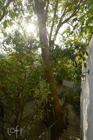 Image 46 - 749519
