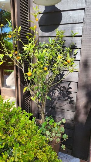 Image 9 - 755493